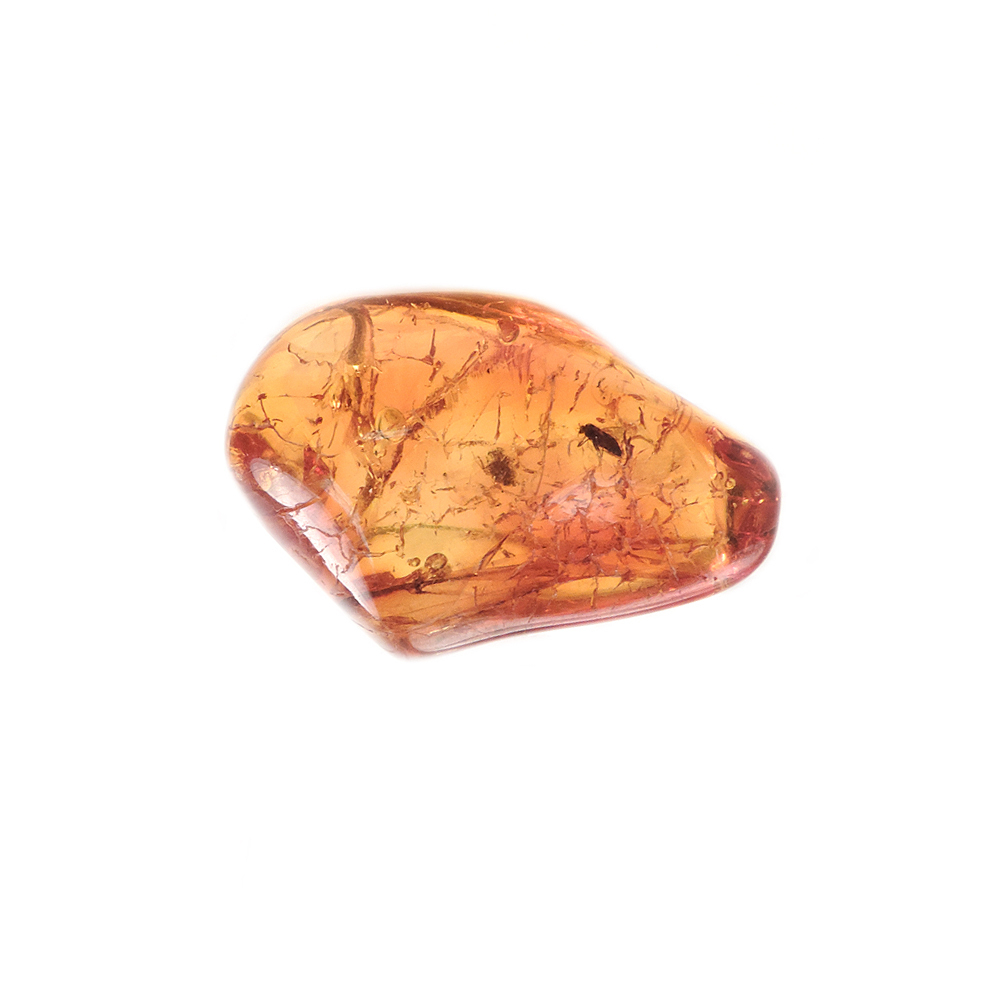 Янтарь инклюз асс.