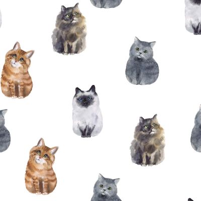 Акварельные милые котики на белом фоне