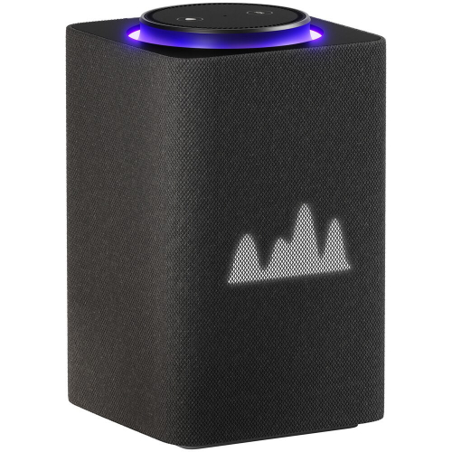 Умная колонка Яндекс Станция Макс с Zigbee YNDX-00053E черный