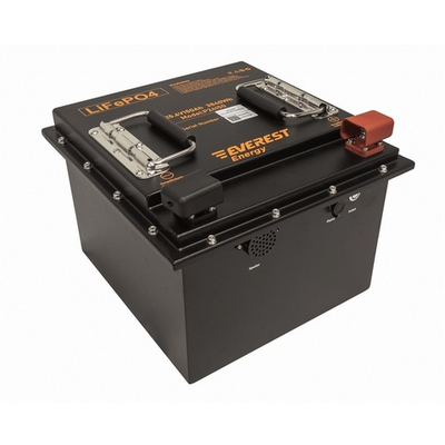 Тяговая аккумуляторная батарея Everest LFP-24V150Аh-PRO + LCD + Bluetooth