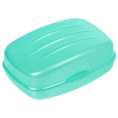 Мыльница дорожная