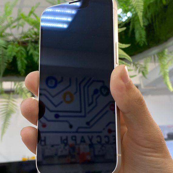 Apple iPhone 13 256Gb