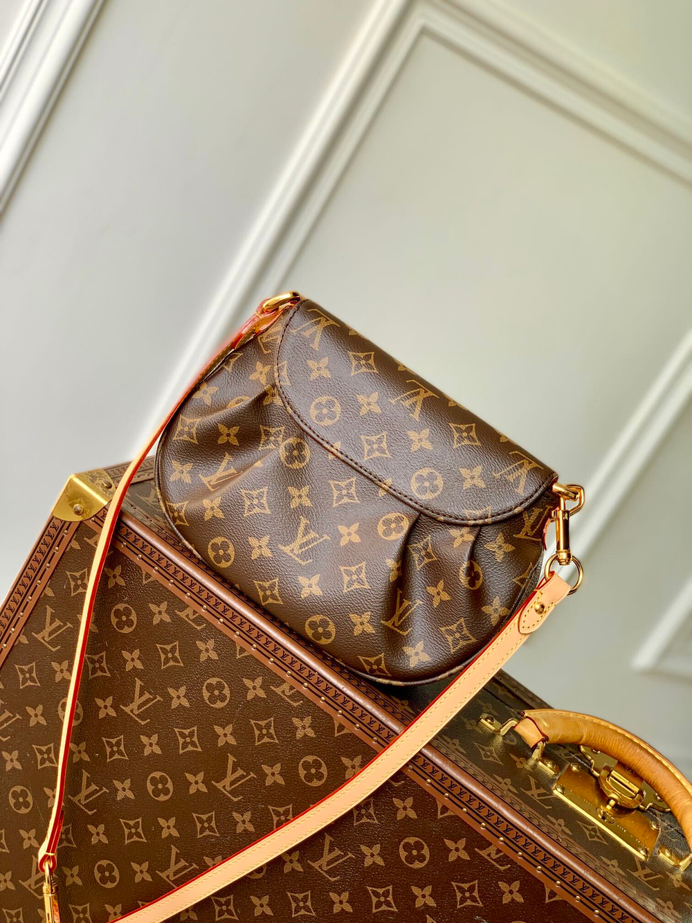 Louis Vuitton Sunset Bag