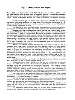 Atlas der topographischen Anatomie des Menschen: für Studierende und Ärzte | Karl Heinrich von Bardeleben