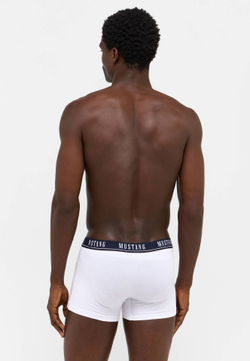 Трусы ( набор 3 шт. ) мужские MUSTANG Retro PO3