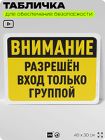 Табличка для обеспечения безопасности "Внимание, разрешен вход только группой", для офиса, по охране труда для предприятия, организаций, 40х30 см, Silver Plane x Айдентика Технолоджи