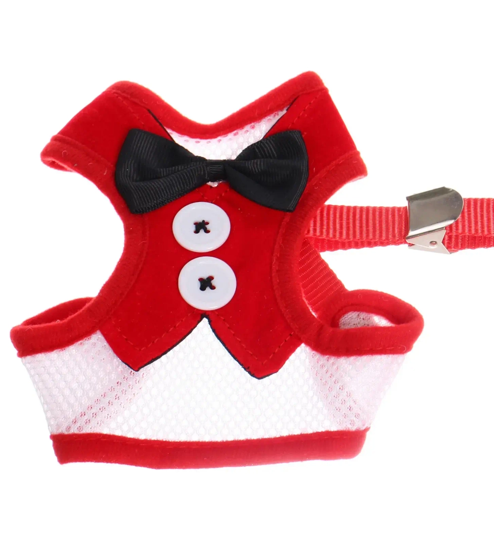 Шлейка с поводком для мелких пород собак и кошек «LAPUSIK», цвет красный, размер M