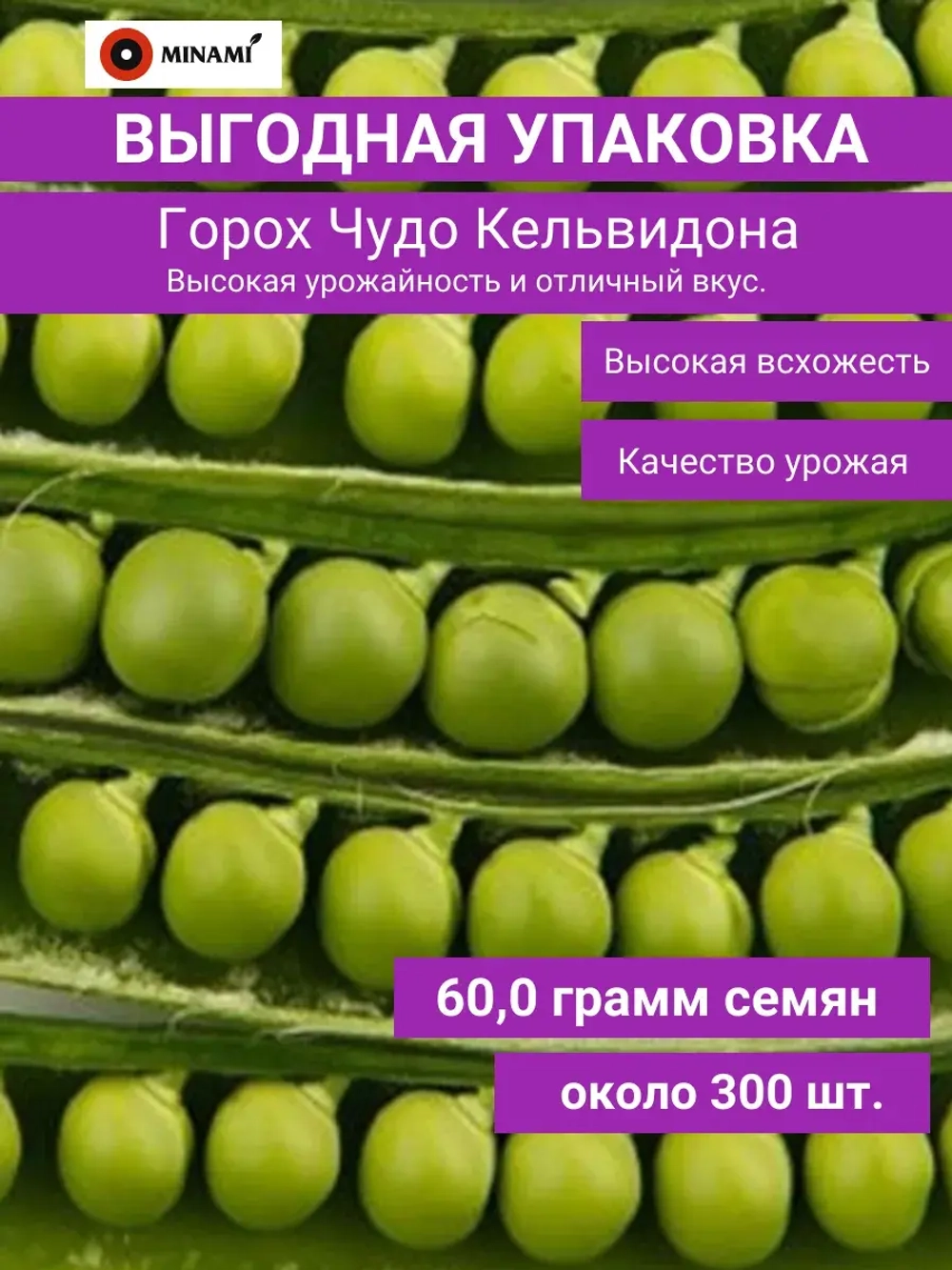 Горох Чудо Кельвидона
