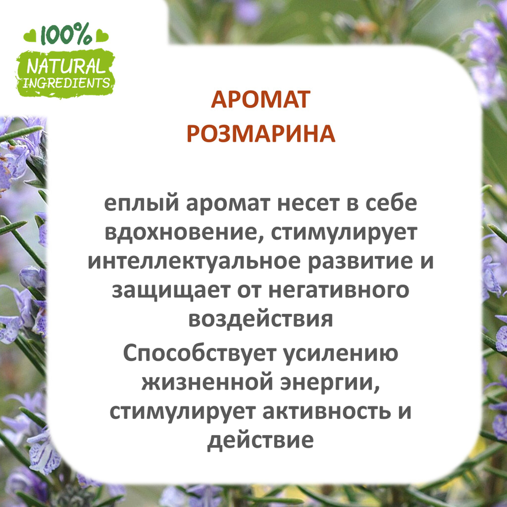 Розмарин, отдушка для свечей и мыла