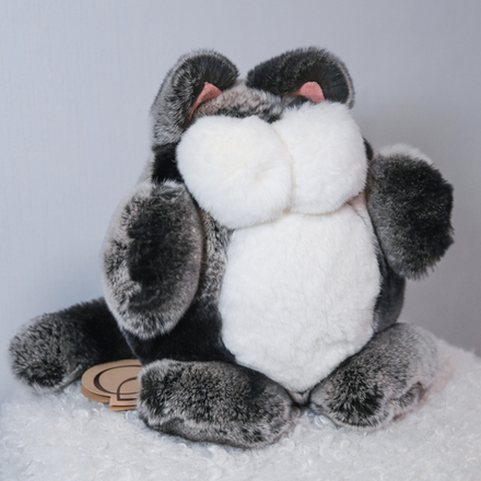 Кот Марсель (черно-шиншилловый) - уникальный окрас