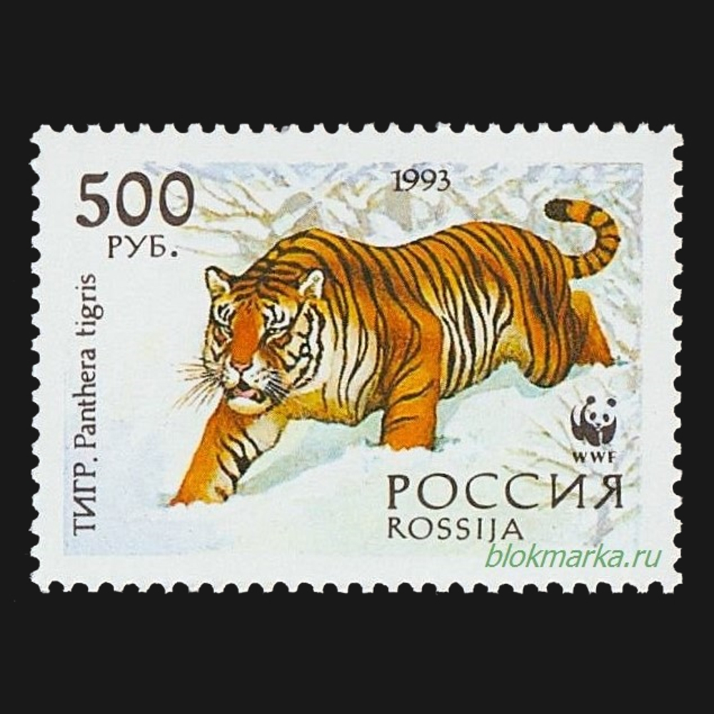 Россия 1993 г № 124-127 Серия Уссурийский тигр Чистая MNH **