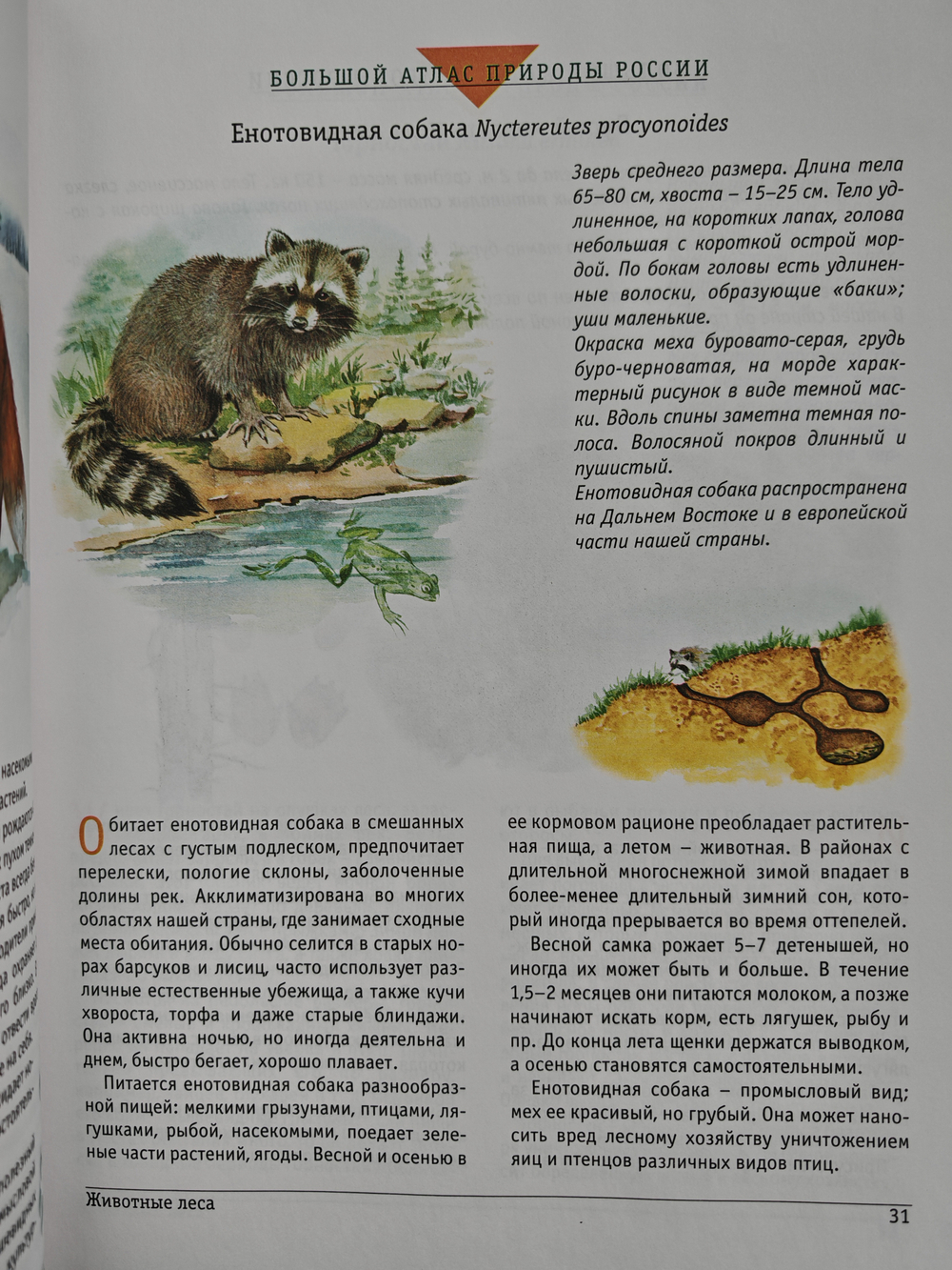 Большой атлас природы России