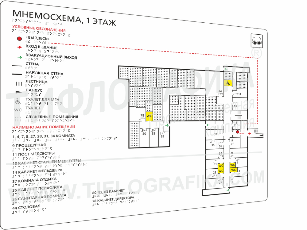 Тактильная мнемосхема ПВХ 600х800х3 мм. Стандартная