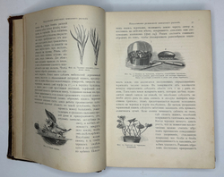 Гесдерфер М. Комнатное садоводство. СПб. Изд. Девриена, 1898г.