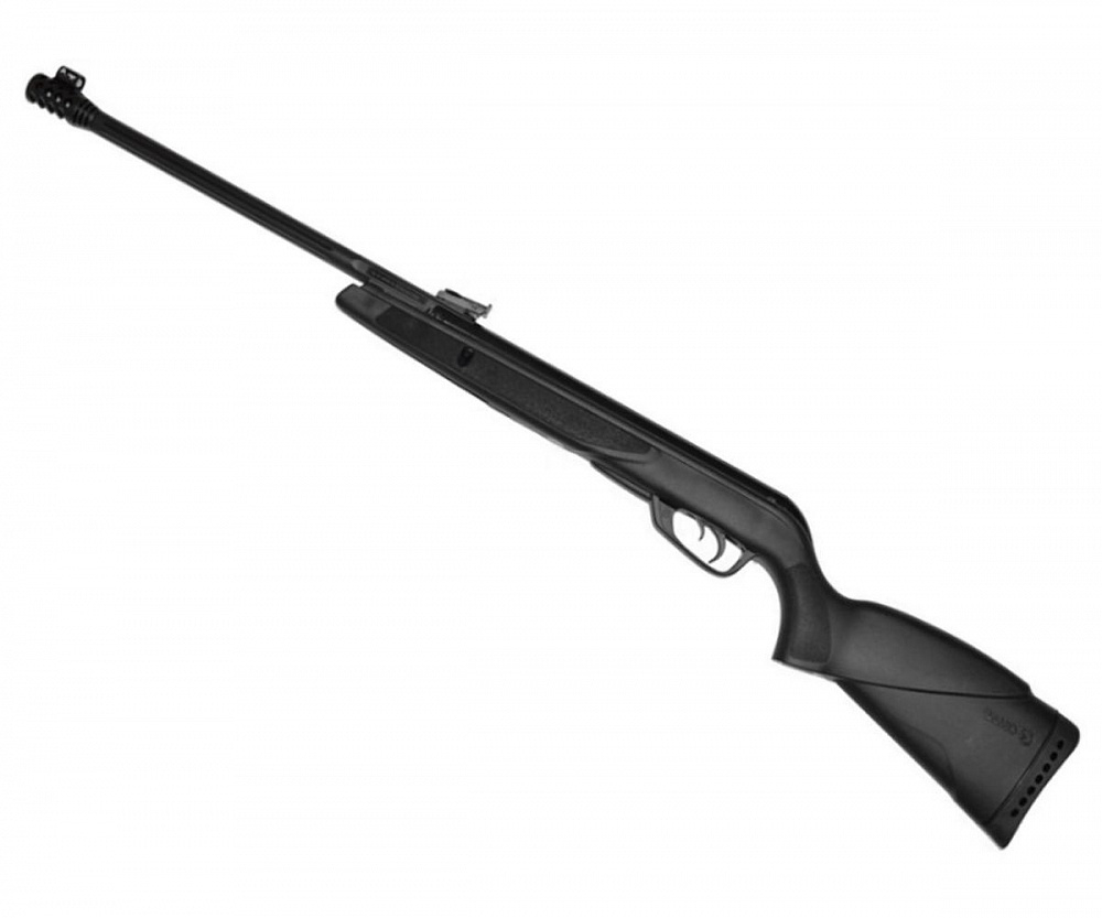 Пневматическая винтовка GAMO Black Bear