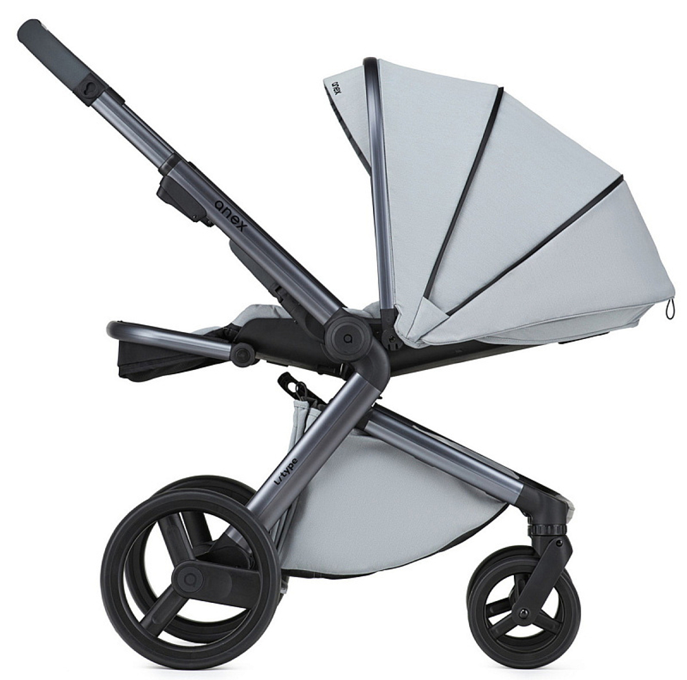 Детская коляска Anex l/type 2 в 1 lt-10t frost