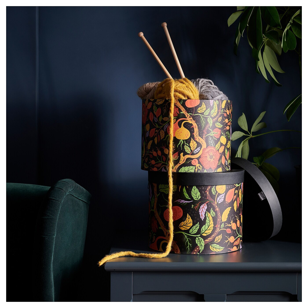 Набор коробок для хранения IKEA HOSTAGILLE (ХЕСТАГИЛЛЕ), Разноцветный, 2 шт