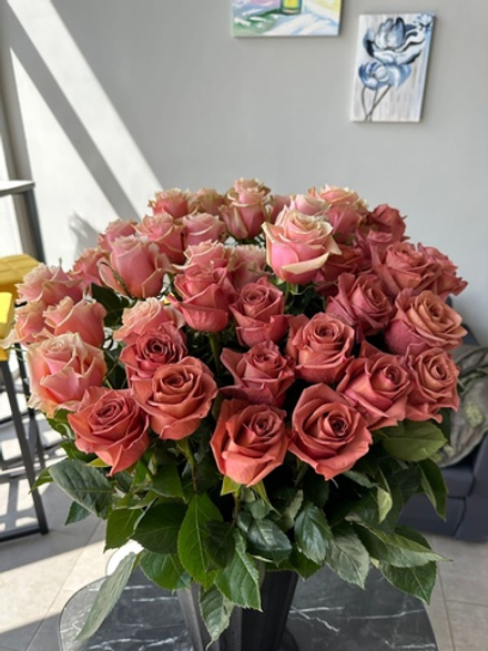 Роза Эквадор сорта Barista и Komodo💔