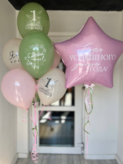 Воздушные шары на 1 сентября эвкалипт/розовый/песок №3685
