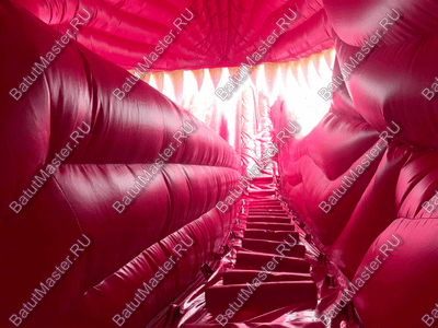 Коммерческий надувной батут "Клыкастый динозавр", 11*9*8 м