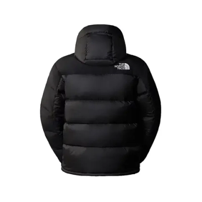 Баскетбольная мужская куртка The North Face Himalayan