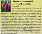 Люпин Минарет, низкоросл. смесь 0,5 г СМЦ-222