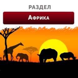 Африка