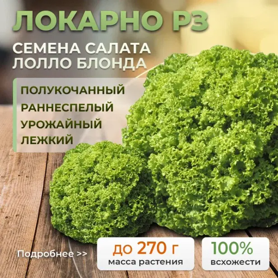 ЛОКАРНО РЗ семена салата (Rijk Zwaan | Alexagro) – фото 1