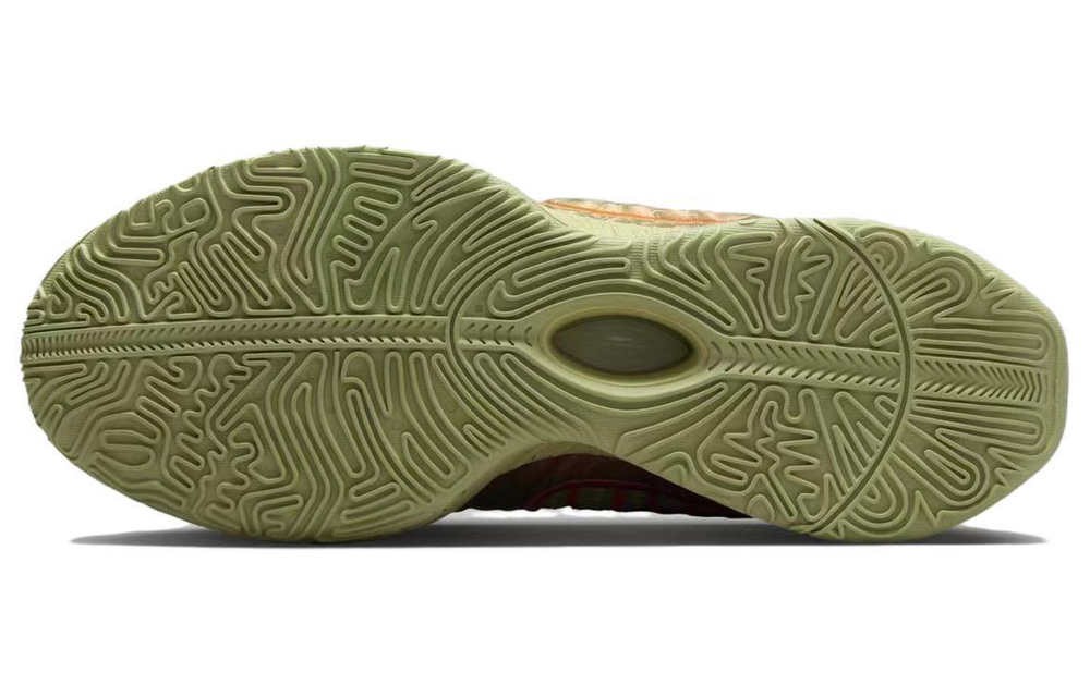 Кроссовки Nike Lebron 21 Queen Conch