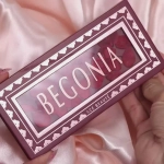 Ace Beaute Begonia Palette