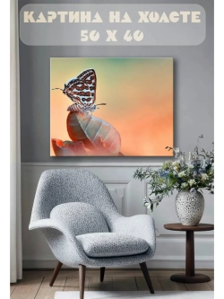 Картина на стену 40 X 50 Бабочка