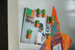 Набор магнитов cactus, 6 шт.