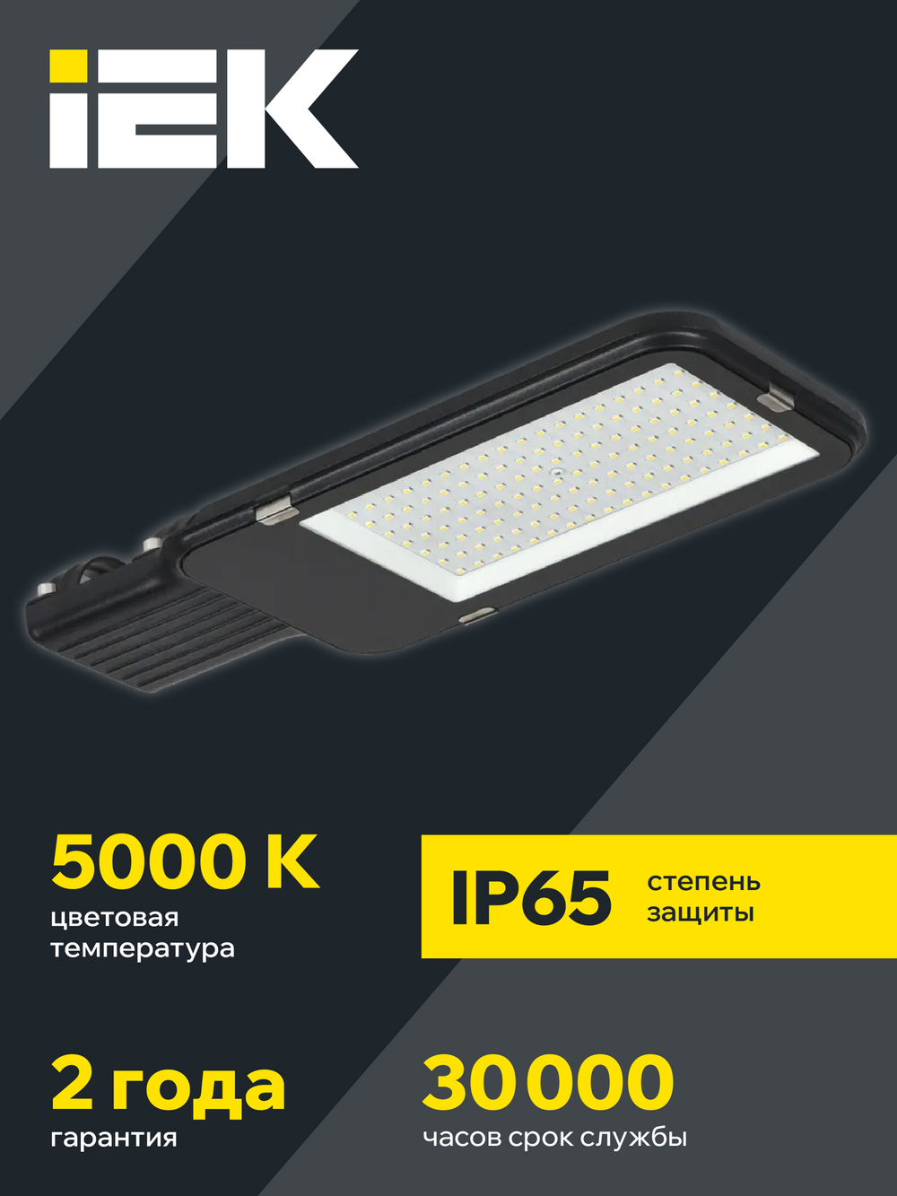 Светильник LED консольный ДКУ 1013-100Д 5000К IP65 IEK