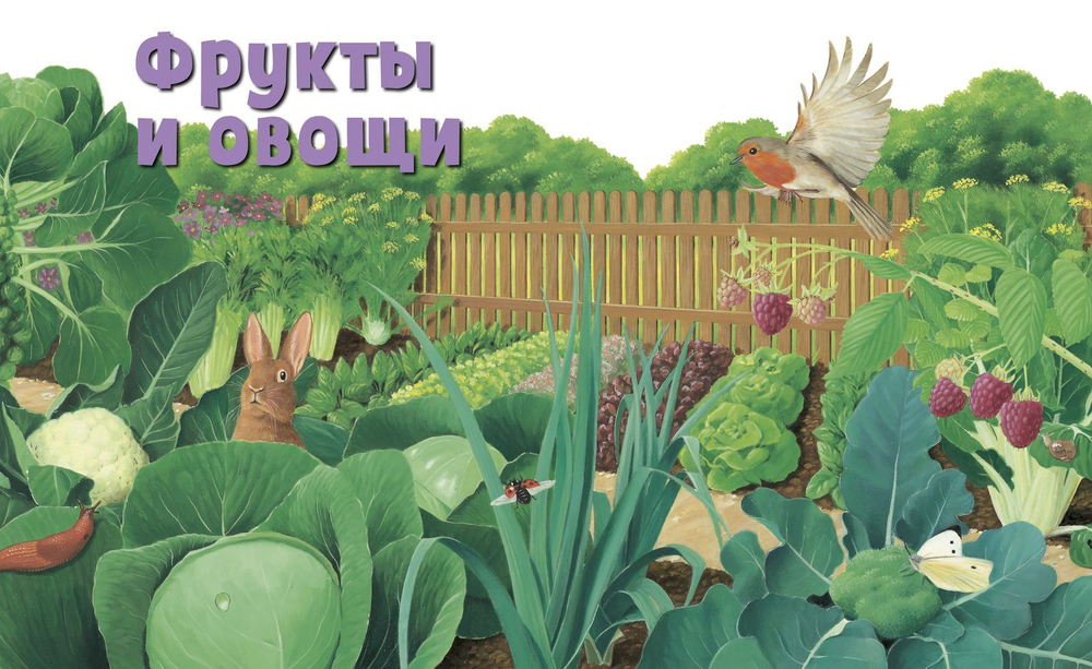 Природа. Визуальная энциклопедия