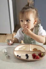 Силиконовая тарелка секционная на присоске 560мл. Hazelnut