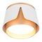 Потолочный светильник Arte Lamp Amaks A8028PL-1WH