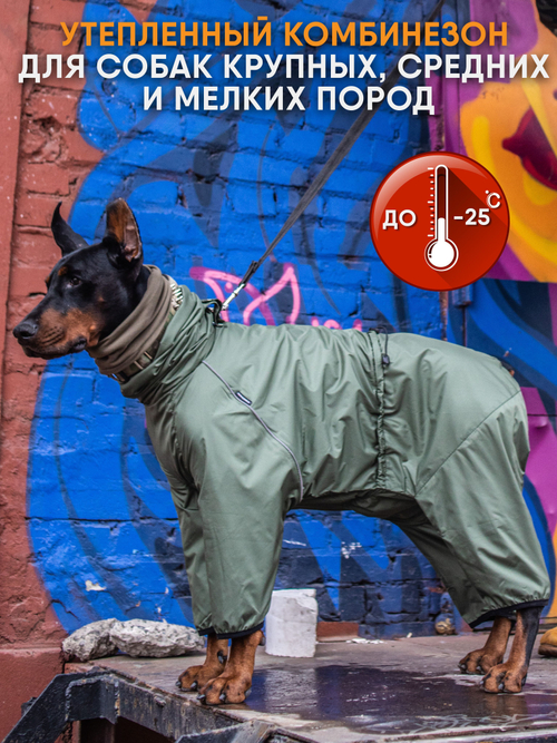 Утепленный комбинезон для собак мелких и средних пород Монморанси, цвет хаки, S2