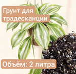Грунт для традесканции 2л, торф, на основе торфа, универсальный, 0.1-0.3мм