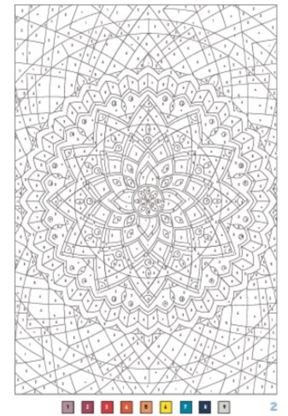 Hachette/ раскраска по номерам/ Coloriages mystères - Mandalas