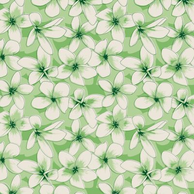 Плюмерия Зеленая