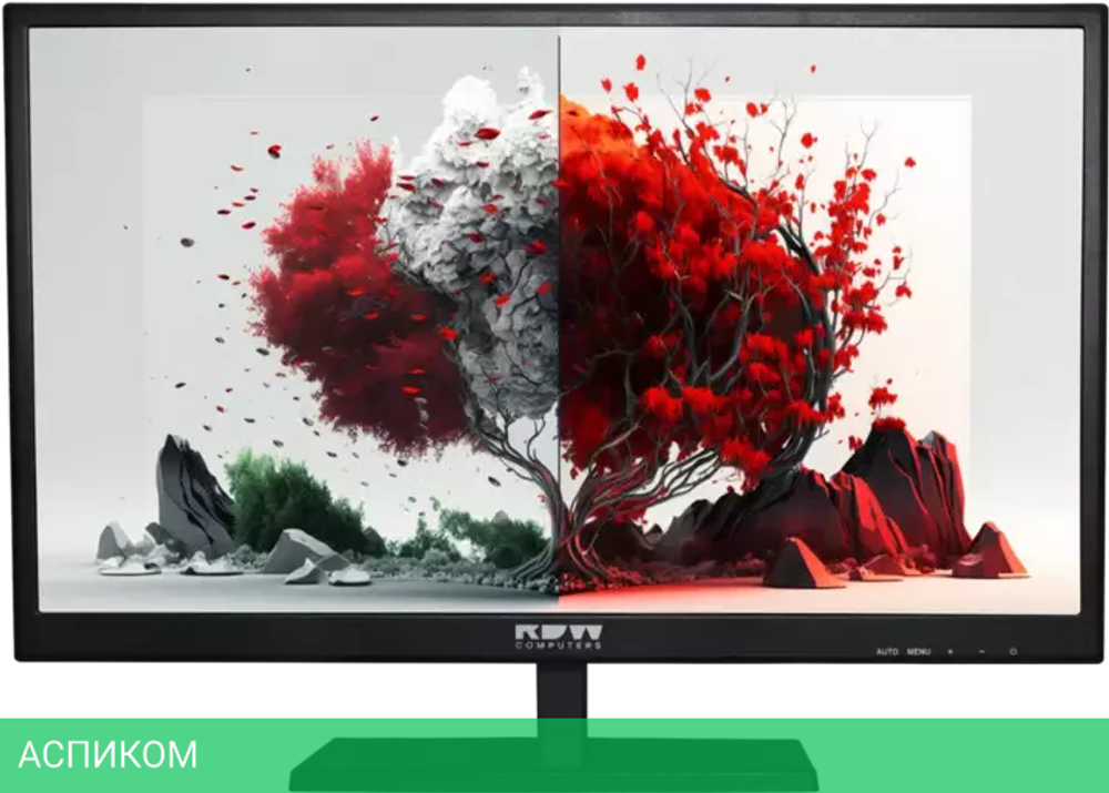 Монитор RDW Computers RDW2401K