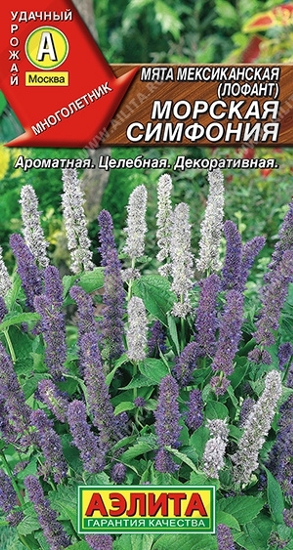 Мята Морская симфония мексиканская (Аэлита) 0,05г