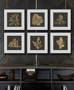 Набор картин 6шт 60х60см Tomas Stern 87068