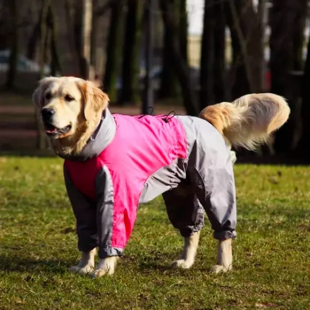 Комбинезон дождевик для собаки демисезонный white Wolf вырез на девочку розово-серый