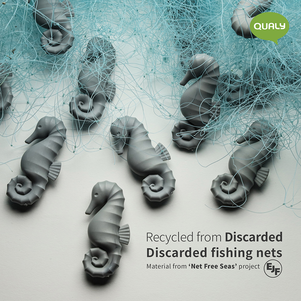 Магнит Qualy Seahorse