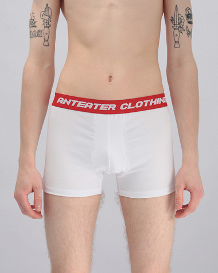 Трусы ANTEATER Boxers-white-navy