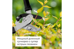 Сучкорез STARTUL Garden ST6096-04