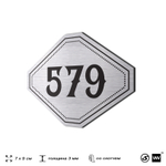 Номерок на дверь квартиры 579, для кабинета, офиса, шильдик 9 х 7 см, серебристый, Айдентика Технолоджи