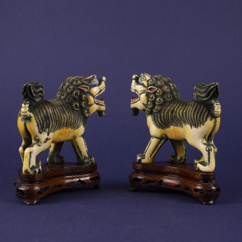 «Собаки ФО». Хранители дома