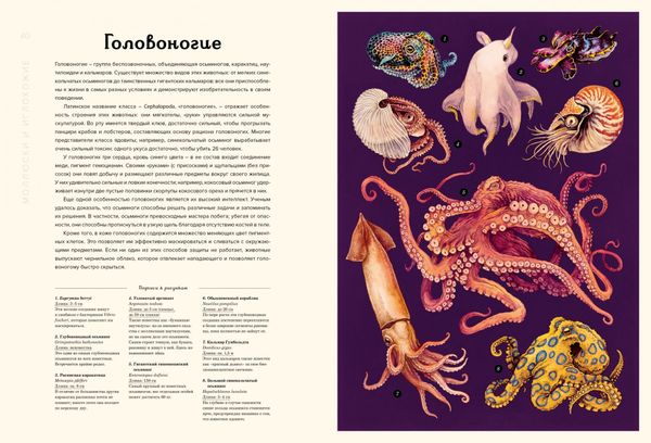 Океанариум